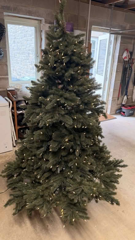 Photo of free Balsam Hill artificial christmas tree (Hartington SK17) #1