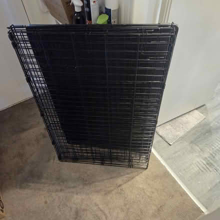 Photo of free Large Dog Cage (King's Park G73) #3