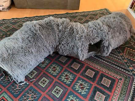 Photo of free Fluffy Cat Tunnel (BN2) #1