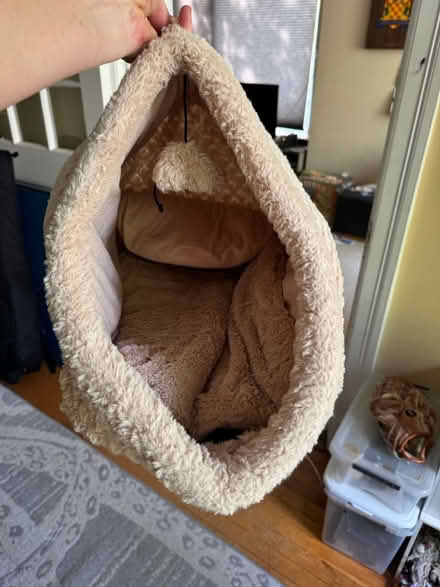 Photo of free Cat supplies (NW DC — 20011) #3