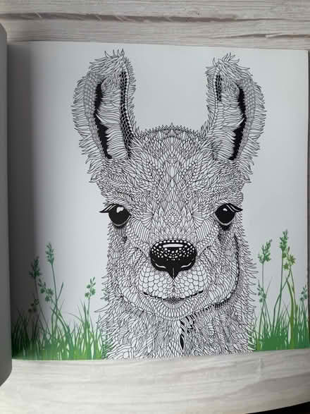 Photo of free The Menagerie Animal Colouring In Book (Kings Furlong RG21) #2