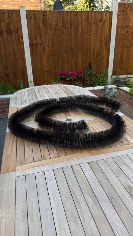 Photo of free Gutter hedgehog (Colchester CO1) #1