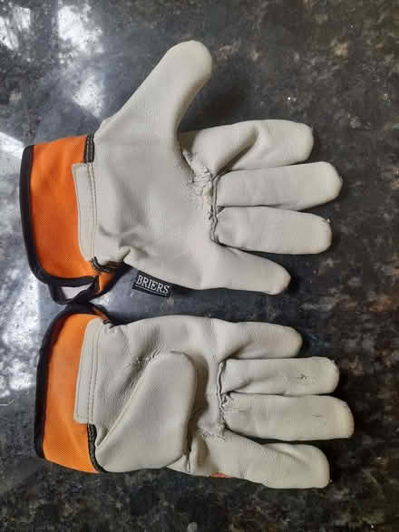 Photo of free Kids gardening gloves (Wimbledon Village SW19) #1