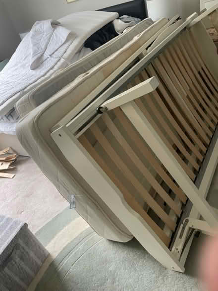 Photo of free Single bed with pull out bed (Malone road) #1
