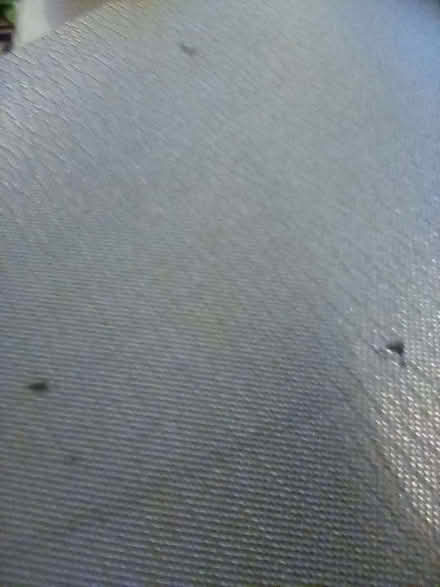 Photo of free Exercise Mat. (Cheddon Fitzpaine TA2) #2