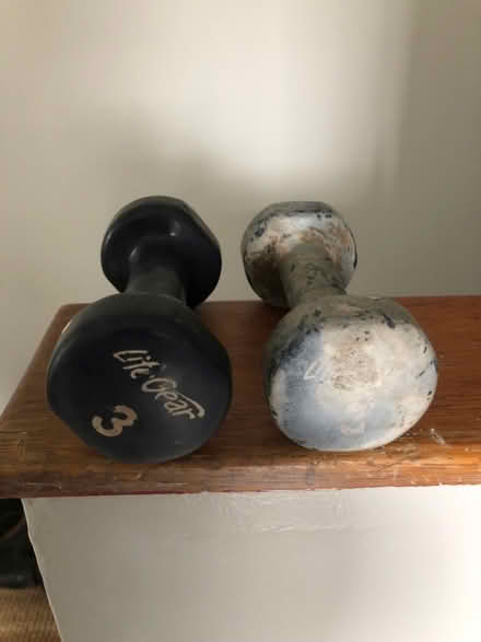 Photo of free Pair of 3 pound weights (Leslieville) #1