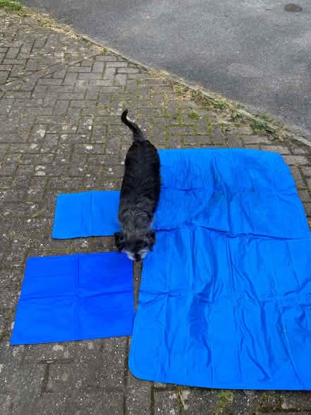 Photo of free Cool mats - 3 different sizes (Cogges OX28) #2