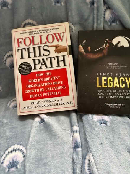 Photo of free Management/leadership books (M23 Northern Moor) #2