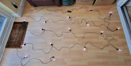 Photo of free Colour changing festoon lights (Walney Island LA14) #1