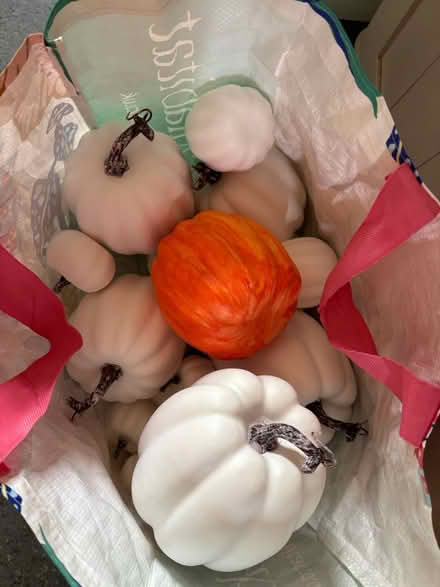 Photo of free Assorted pumpkins (Hx61ad) #1