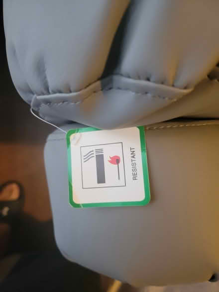 Photo of free Riser recliner chair (Ashford Mx) #2