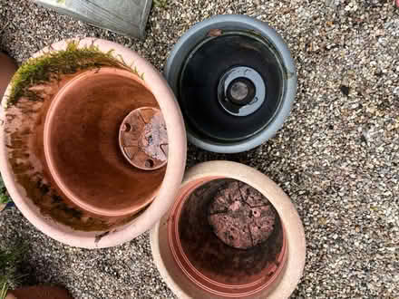 Photo of free Three Plastic plant pots (M23 Northern Moor) #1
