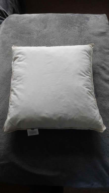 Photo of free Cushion inner (Horsham, near Bennetts Field) #1