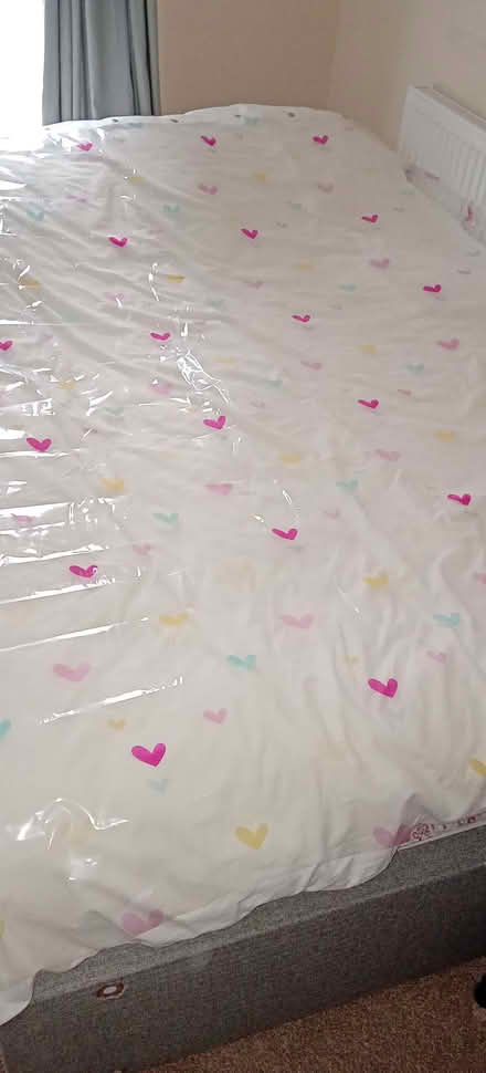 Photo of free Shower curtain (Northgate Village CH2) #3