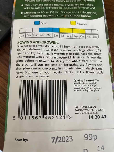 Photo of free Borage seeds (Rathfarnham) #2