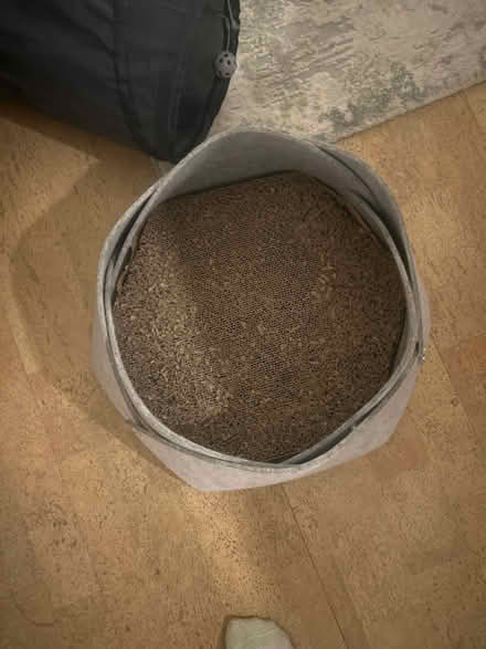 Photo of free Small cat scratching bed (Park street st albans AL2) #1