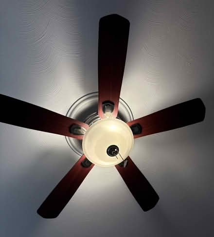 Photo of free 42" Ceiling Fan (DTC/Tech Center) #2