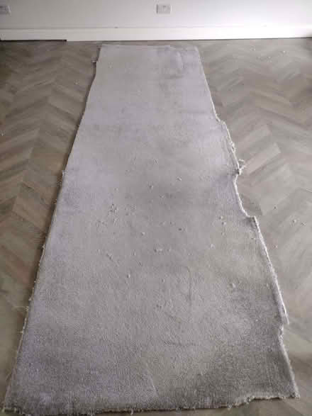 Photo of free Grey high pile carpet (Southfields SW19) #4