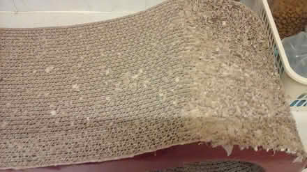 Photo of free Well used cat lounger/scratch post (Shawlands) #2