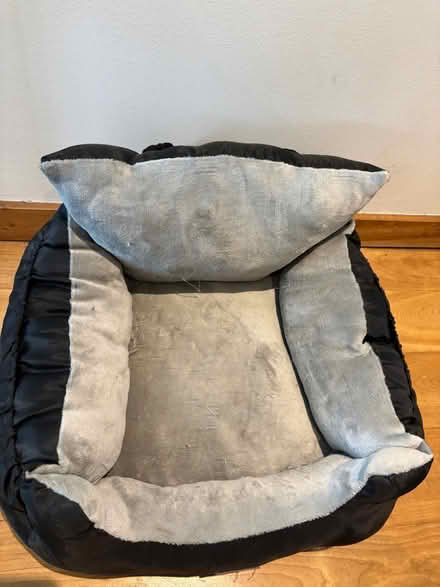 Photo of free Dog bed (Battersea, SW11) #1