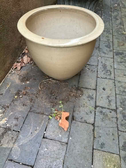 Photo of free Ceramic plant pot (Haldens AL6) #1