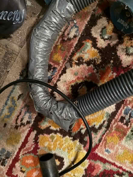 Photo of free Working* vacuum cleaner (Vic Park north of Eglinton) #2