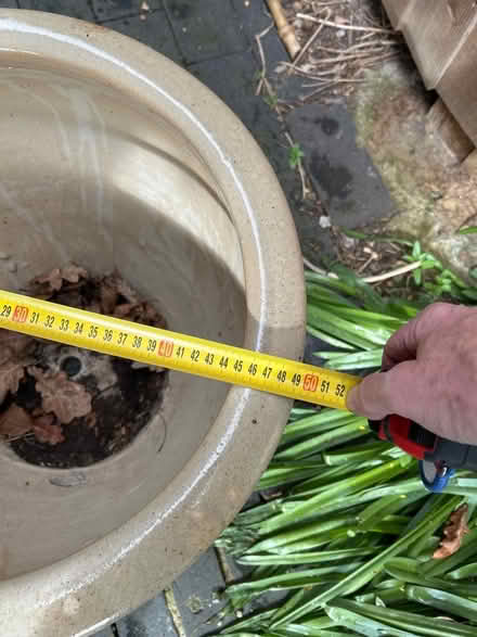 Photo of free Large ceramic plant pot (Haldens AL6) #2