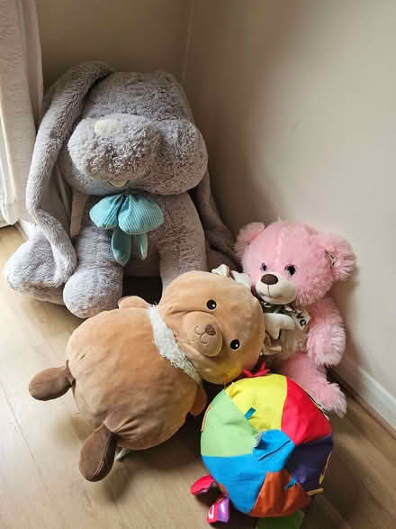 Photo of free Toys (Coppice HP20) #1