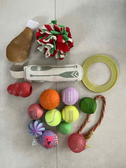 Photo of free Various dog toys (Amersham HP6) #1