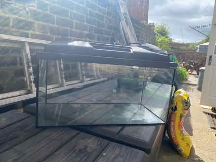 Photo of free Large glass fish tank (Queens Park W10) #3