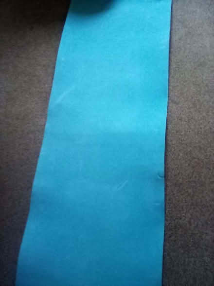 Photo of free Exercise mat (Cheddon Fitzpaine TA2) #1
