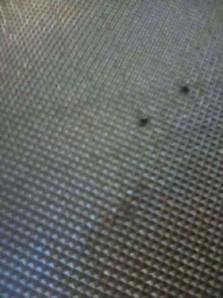 Photo of free Exercise Mat. (Cheddon Fitzpaine TA2) #4