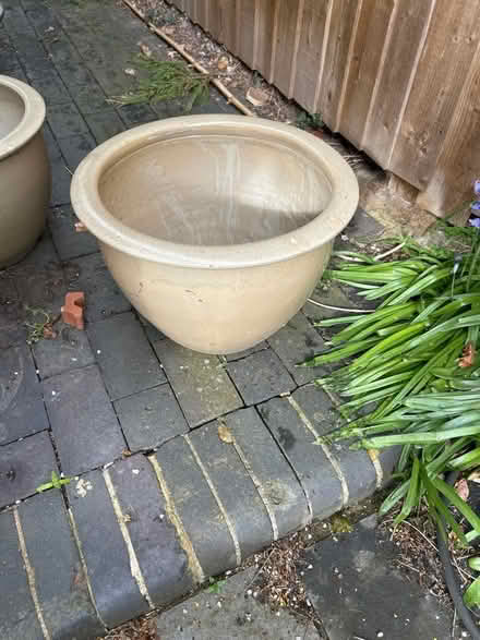 Photo of free Large ceramic plant pot (Haldens AL6) #1