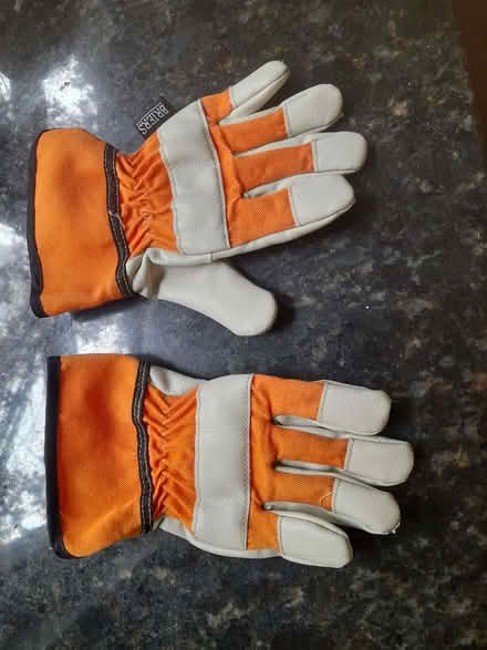 Photo of free Kids gardening gloves (Wimbledon Village SW19) #2