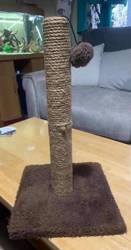 Photo of free Scratching Post (N10 Muswell Hill) (Colney Hatch N10) #1