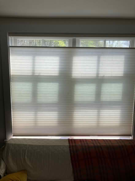 Photo of free New window shade (Hastings on Hudson) #1
