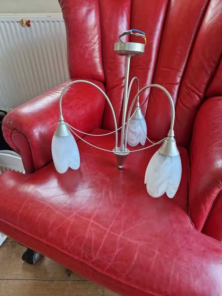 Photo of free Light Fittings (Harrogate HG2) #3