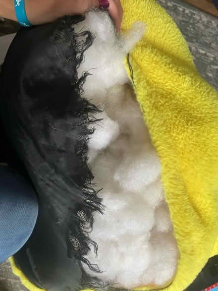 Photo of free Hey dugee chair (Pevensey road SW17) #2