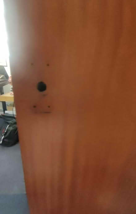 Photo of free Internal door bundle (Grays RM17) #3