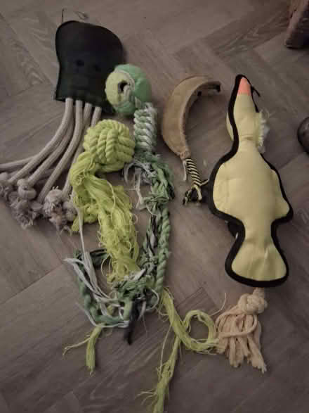 Photo of free Dog toys (Clarkston G76) #1