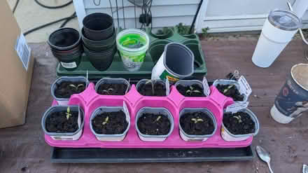 Photo of Plastic seedling pots_ trays (Near Downtown Downers Grove) #1