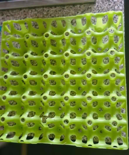 Photo of free egg tray (Woodhouse S13) #1
