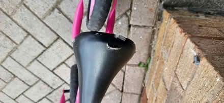 Photo of free Balance bike (Owlthorpe S12) #3