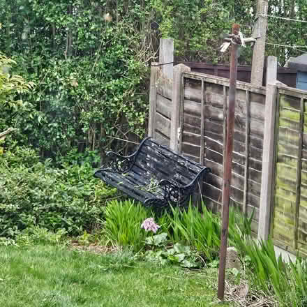 Photo of free Garden items (LS26 rothwell) #3