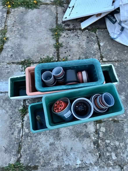 Photo of free Plant pots (Salisbury, SP2) #2