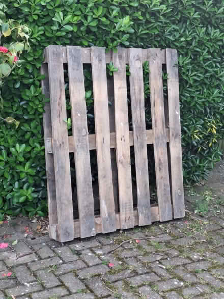 Photo of free Pallet (Bexhill) #1