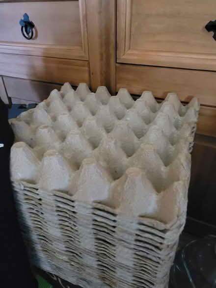 Photo of free Egg Cartons (Merry Hill WD23) #1