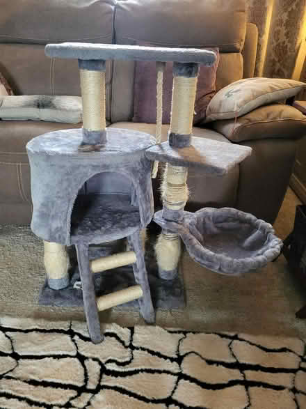 Photo of free Large cat scratching post and cat tower (Long Sutton PE12) #1