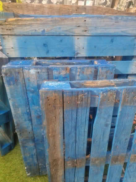 Photo of free Pallet (Witham CM8) #1