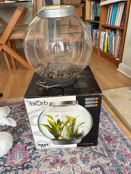 Photo of free Biorb small (Stamperland G76) #1